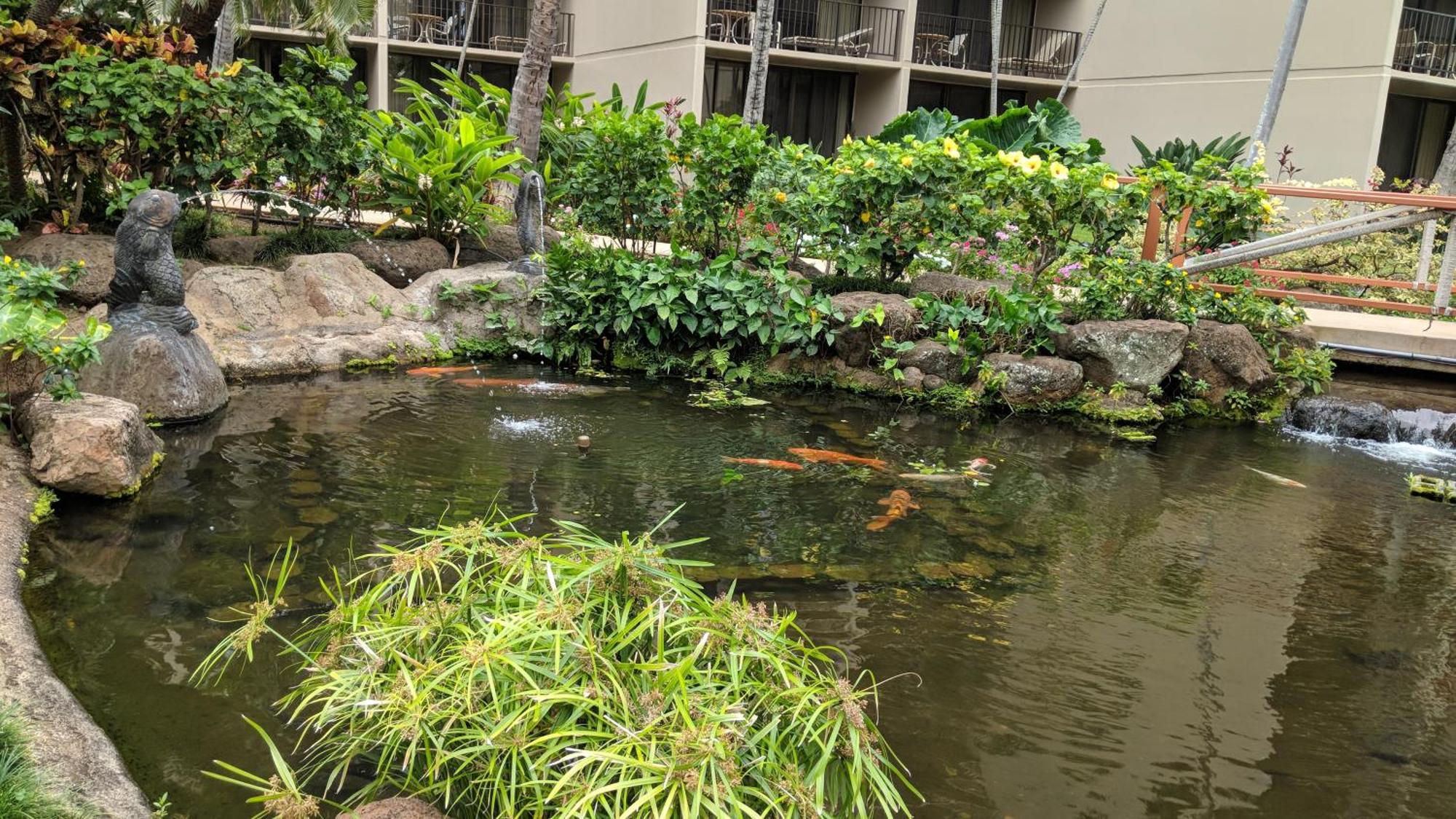 Maui Westside Presents: Kaanapali Shores 733 Stunning Ocean Views New Listing Lahaina Exterior foto